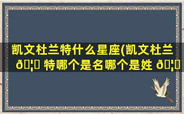凯文杜兰特什么星座(凯文杜兰 🦍 特哪个是名哪个是姓 🦟 )